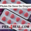 Dragon Sex Pills 19